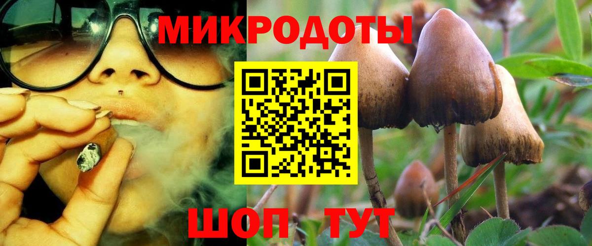 Галлюциногенные грибы Psilocybine cubensis  Вход с VPN  что такое   Соликамск  Псилоцибиновые грибы Psilocybine cubensis 